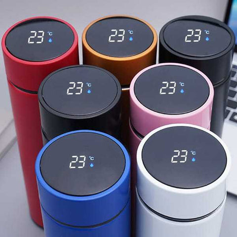 500ml Smart Water Bottle
