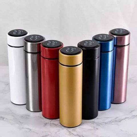 500ml Smart Water Bottle